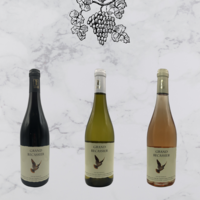 Image de la categorie Vins de France de Domaine de Rochemond